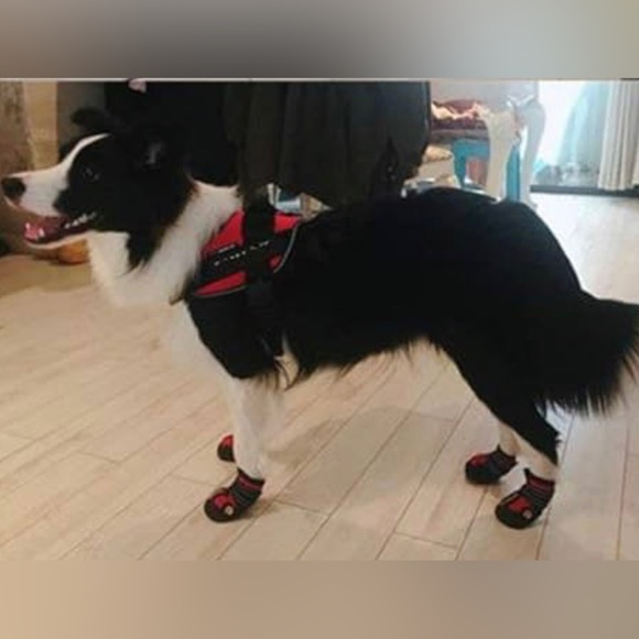 NWT Dog Shoes Waterproof Anti-Slip Rain Boots Reflective Size 5 - Picture 11 of 11